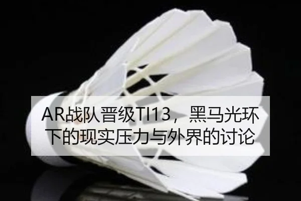 zhan-dui-jin-ji-hei-ma-guang-huan-xia-de-xian-shi-ya-li-yu-wai-jie-de-tao-lun-2-963.jpg